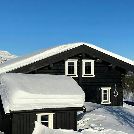 With Panoramic View In Synnfjell *